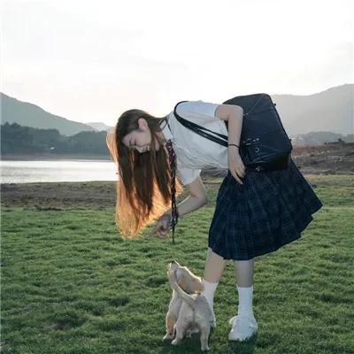 陪月