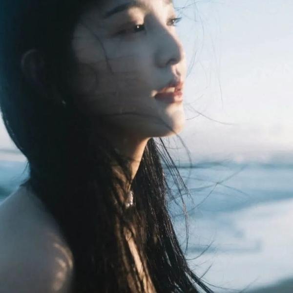 几度菊花香